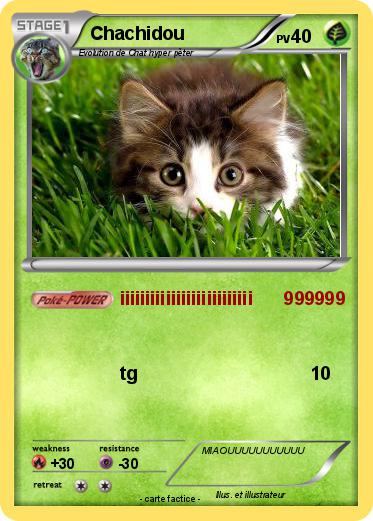 Pokemon Chachidou