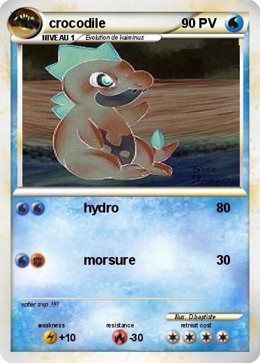Pokemon crocodile