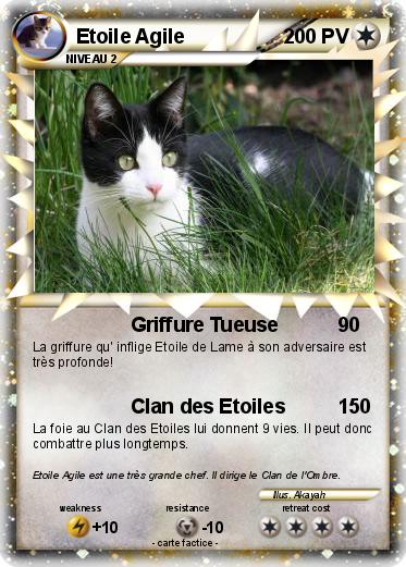 Pokemon Etoile Agile
