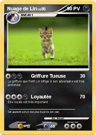 Pokemon Nuage de Lin