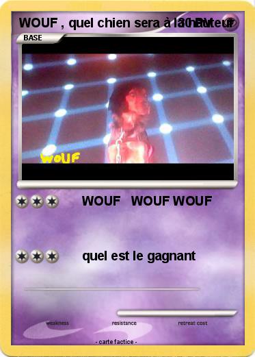 Pokemon WOUF , quel chien sera à la hauteur