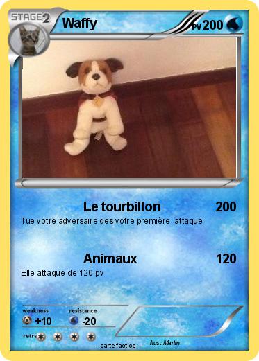 Pokemon Waffy