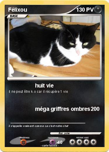 Pokemon Félixou