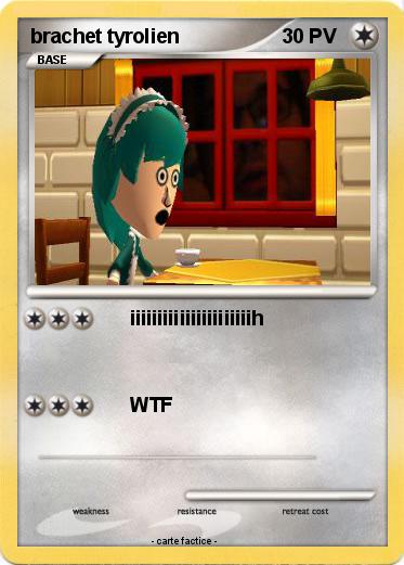 Pokemon brachet tyrolien