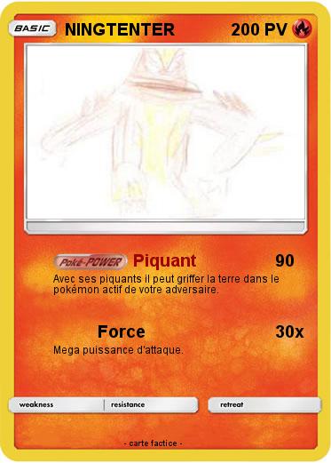 Pokemon NINGTENTER