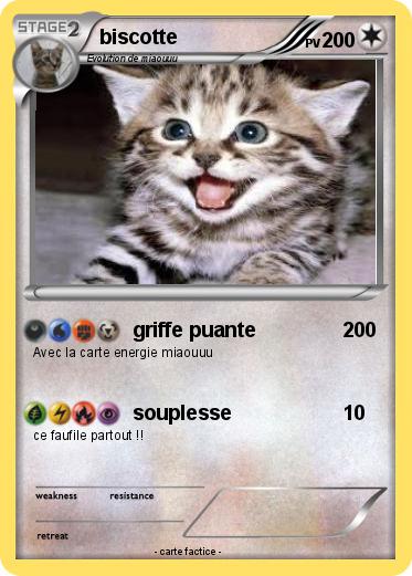 Pokemon biscotte