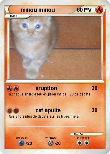 Pokemon minou minou
