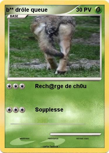 Pokemon b** drôle queue