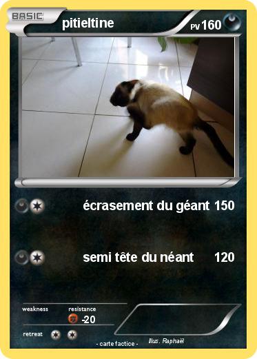 Pokemon pitieltine