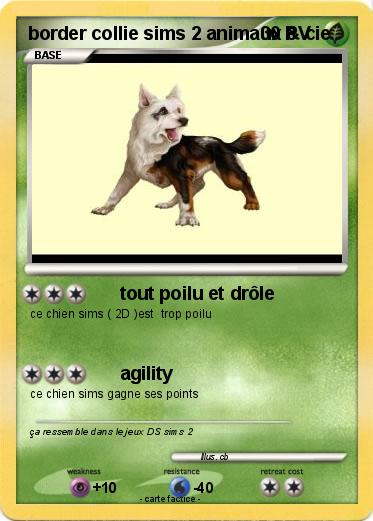 Pokemon border collie sims 2 animaux & cie