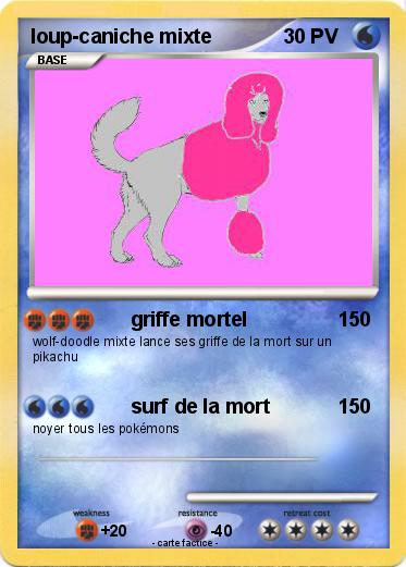 Pokemon loup-caniche mixte