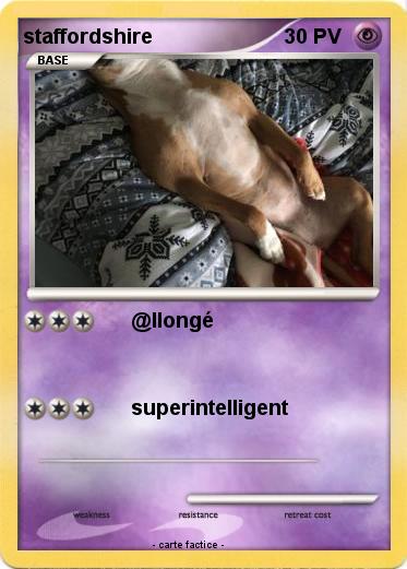 Pokemon staffordshire