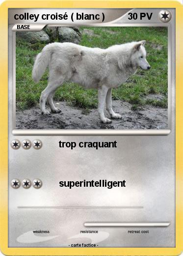 Pokemon colley croisé ( blanc )
