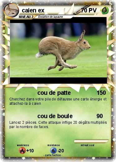 Pokemon caien ex