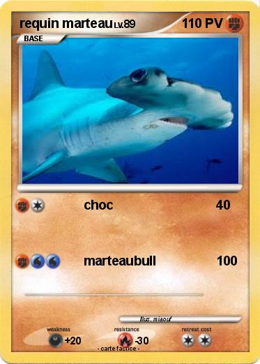 Pokemon requin marteau