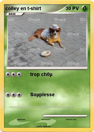 Pokemon colley en t-shirt