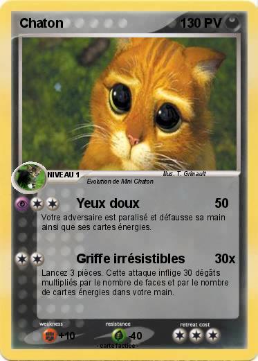 Pokemon Chaton