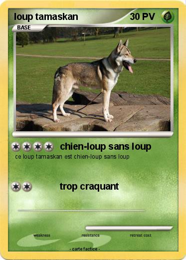 Pokemon loup tamaskan