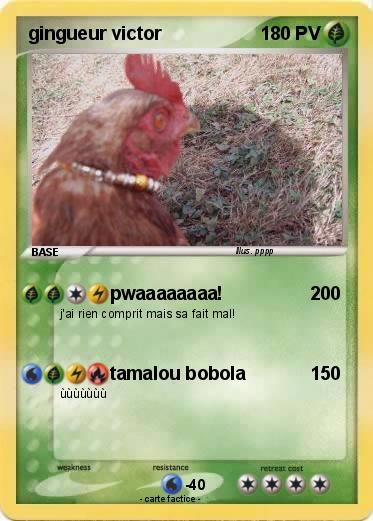 Pokemon gingueur victor