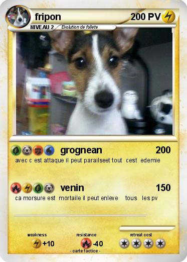 Pokemon fripon