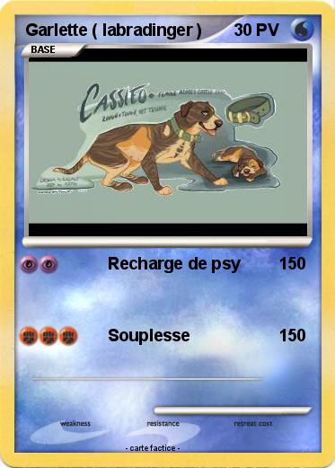 Pokemon Garlette ( labradinger )