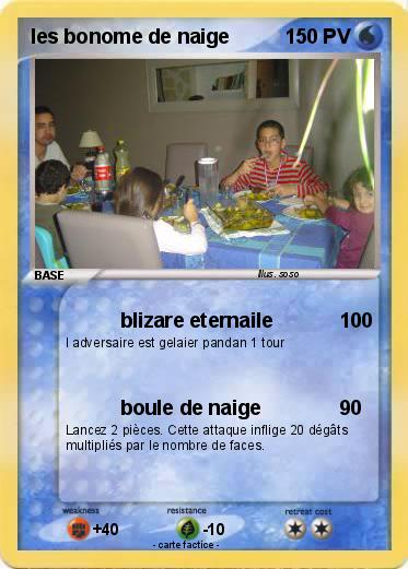 Pokemon les bonome de naige