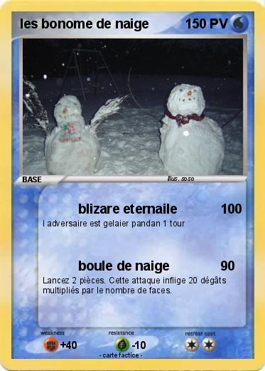 Pokemon les bonome de naige