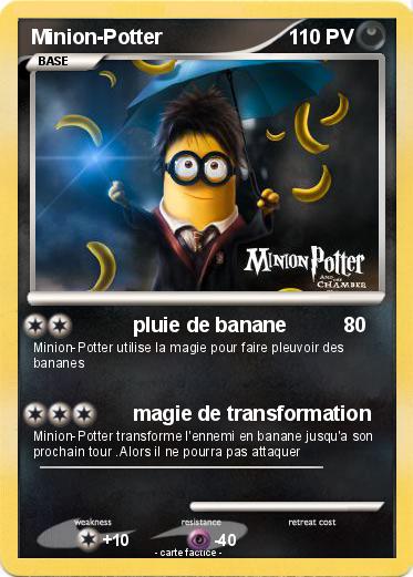 Pokemon Minion-Potter