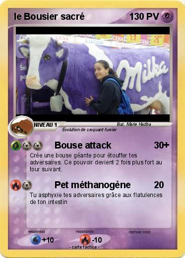 Pokemon le Bousier sacré