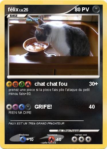 Pokemon félix