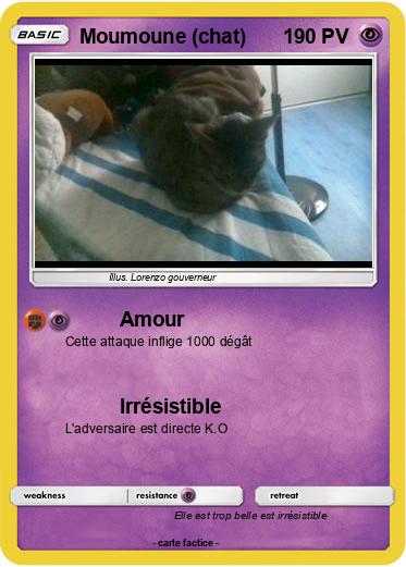 Pokemon Moumoune (chat)