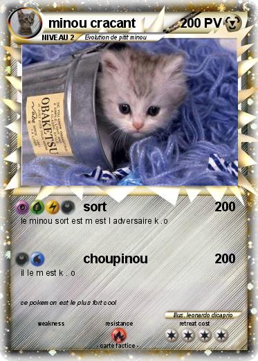 Pokemon minou cracant