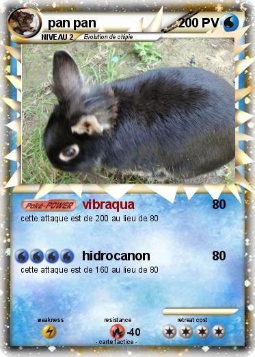 Pokemon pan pan
