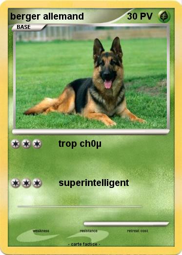 Pokemon berger allemand