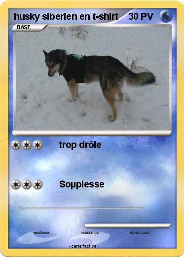 Pokemon husky siberien en t-shirt