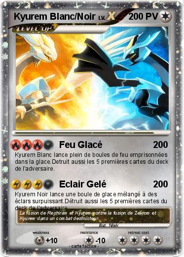 Pokemon Kyurem Blanc/Noir