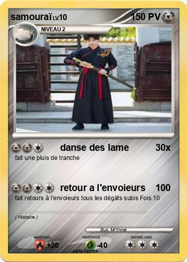 Pokemon samouraï