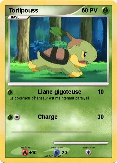 Pokemon Tortipouss