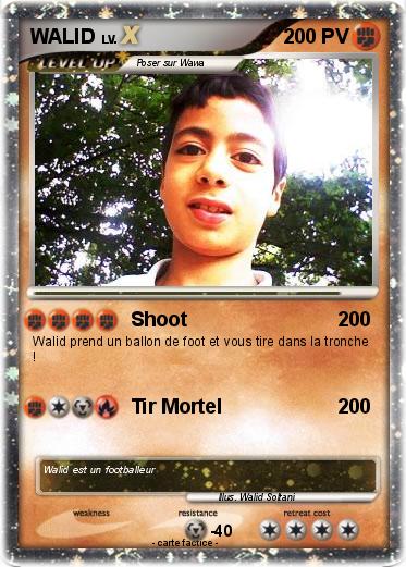 Pokemon WALID