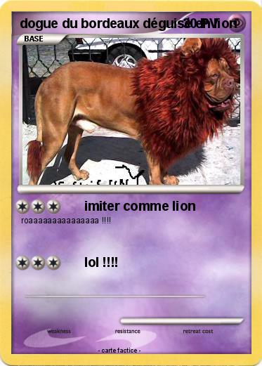 Pokemon dogue du bordeaux déguisé en lion