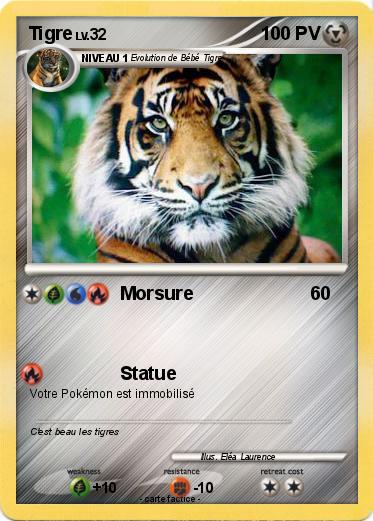 Pokemon Tigre