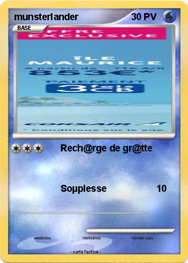 Pokemon munsterlander