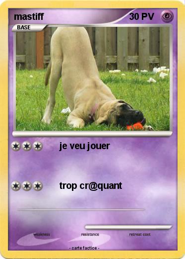 Pokemon mastiff