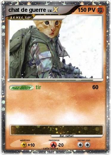 Pokemon chat de guerre