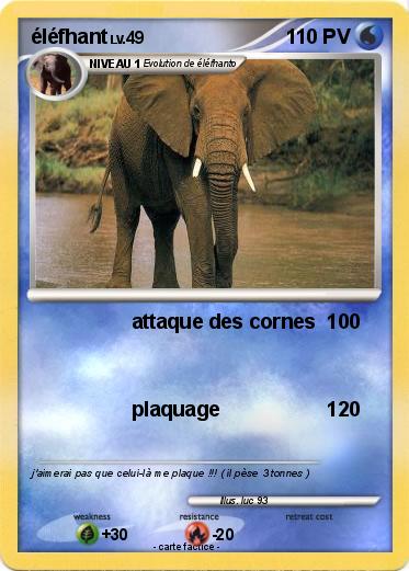 Pokemon éléfhant