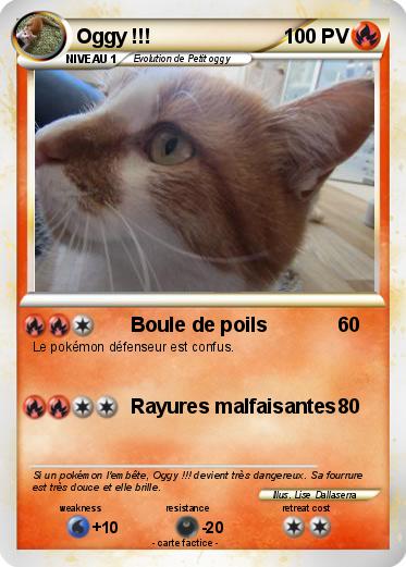 Pokemon Oggy !!!