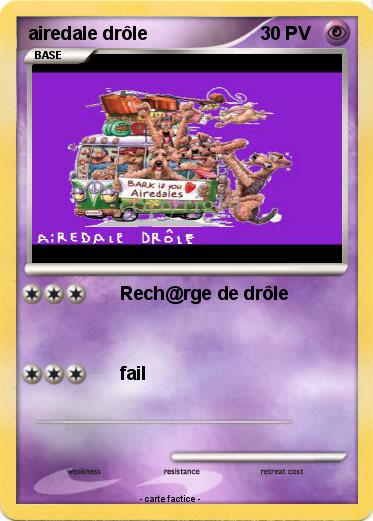 Pokemon airedale drôle