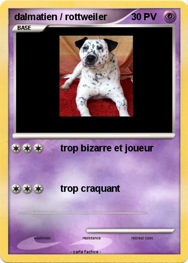 Pokemon dalmatien / rottweiler