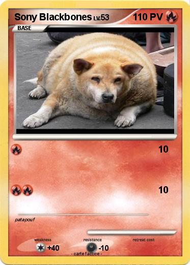 Pokemon Sony Blackbones