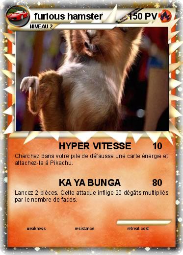 Pokemon furious hamster